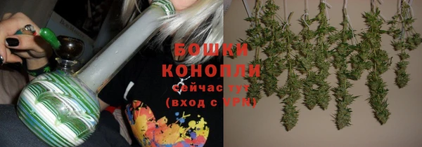 индика Богородицк