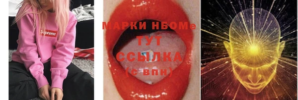 гидра Корсаков