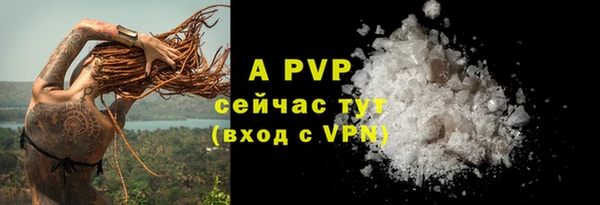 apvp Коряжма