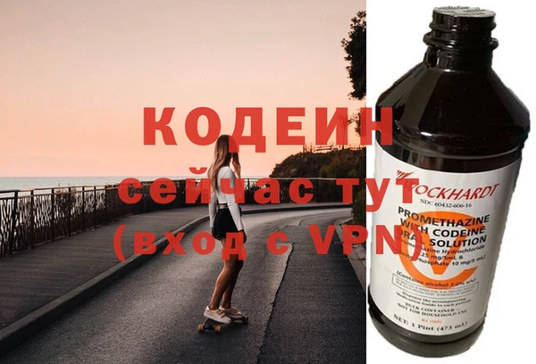 гидра Корсаков