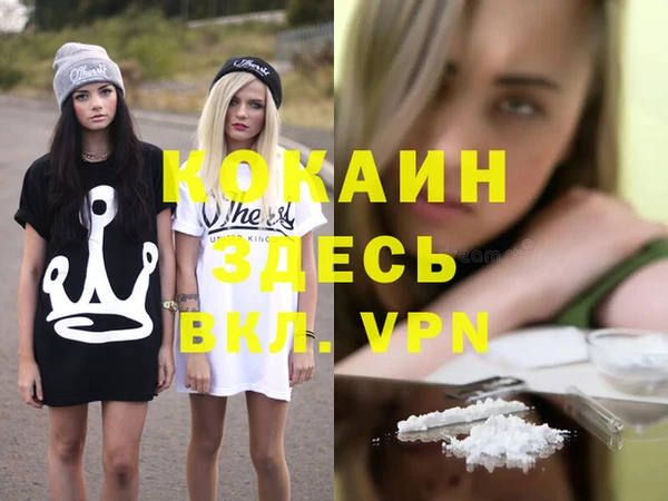 гидра Корсаков