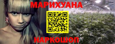 прущие крисы Ипатово