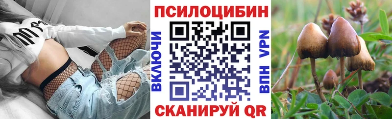 как найти   Ставрополь  Галлюциногенные грибы мухоморы 