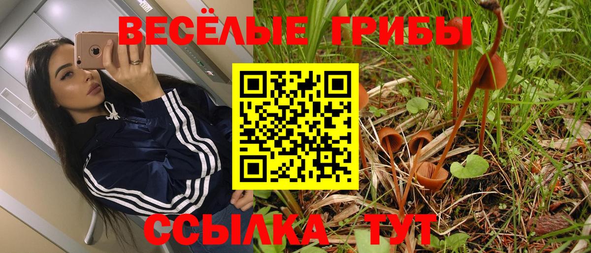 Ставрополь  Псилоцибиновые грибы Psilocybe  Галлюциногенные грибы Cubensis  Вход с VPN 