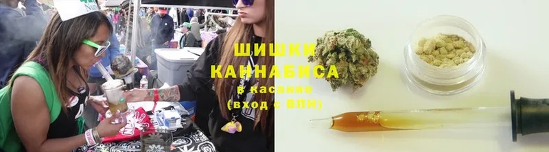 даркнет сайт  мориарти как зайти  МАРИХУАНА OG Kush  Ставрополь 